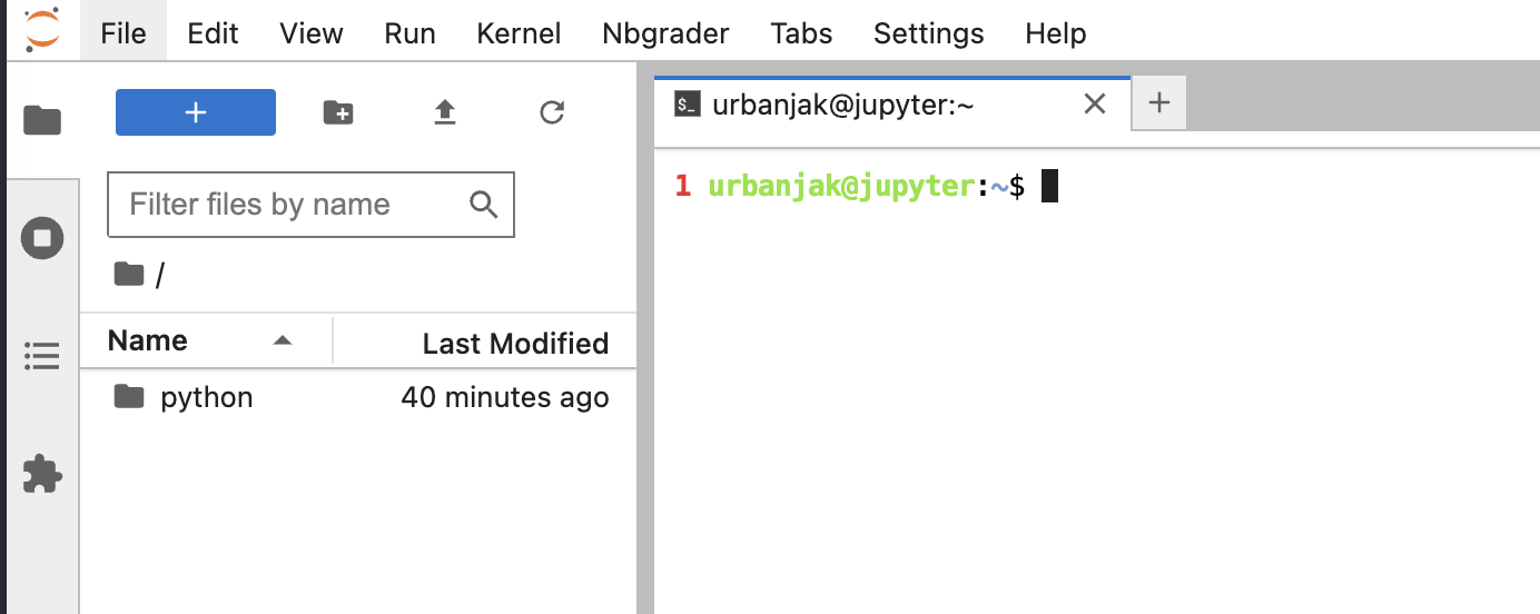 jupyterhub-terminal.png
