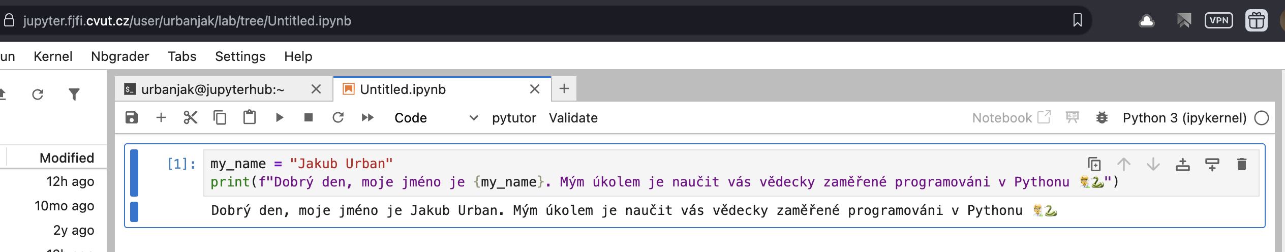 Screenshot první hodiny